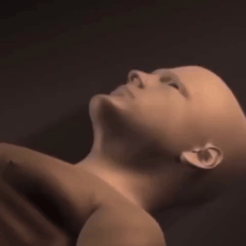 Montage GIF